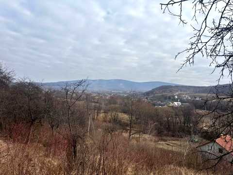 будинок за адресою с. Оріховиця, Оріхова