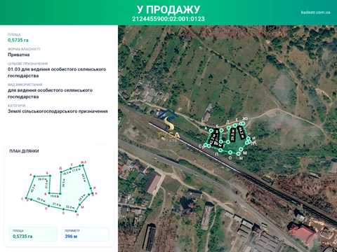 участок по адресу пгт. Солотвина, Підмагура, 66