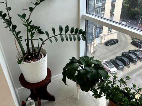квартира за адресою Набережна Перемоги вул., 42-Р