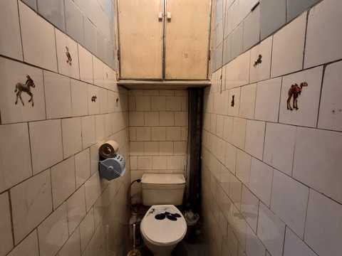 квартира по адресу Юбилейный просп. (50-летия ВЛКСМ), 68