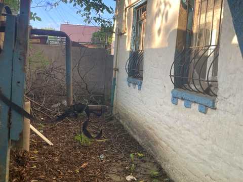 участок по адресу Новосільська ул., 35