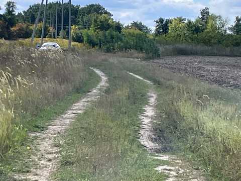 1877676981361154