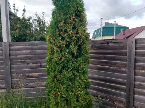 будинок за адресою Розумовського вул.