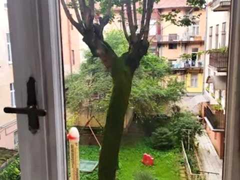 квартира за адресою Шота Руставелі вул., 34