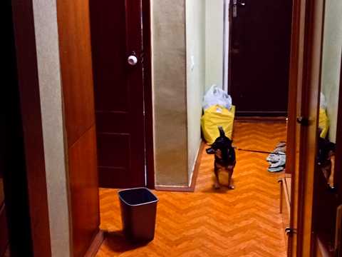 квартира по адресу Инглези ул. (25-ї Чапаєвської Дивізії), 3