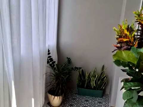 квартира за адресою Володимирська вул., 28