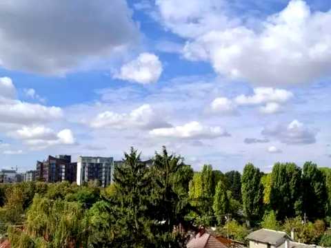 квартира за адресою Володимирська вул., 28