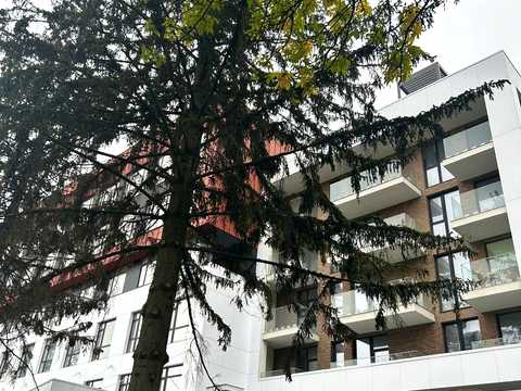квартира за адресою Зелена вул., 111-Б