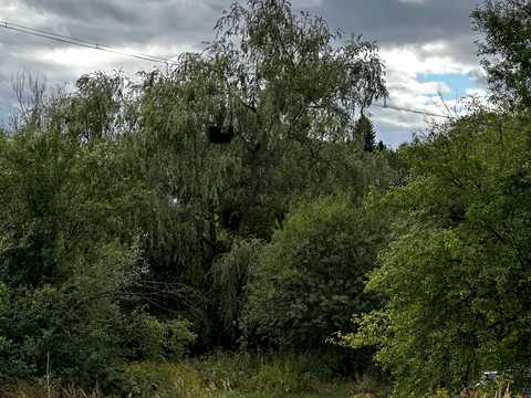 ділянка за адресою с. Старе Село, 