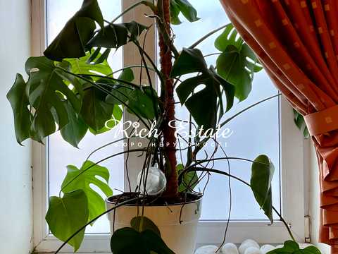квартира по адресу Дмитра Дорошенка ул. (Чигоріна), 49