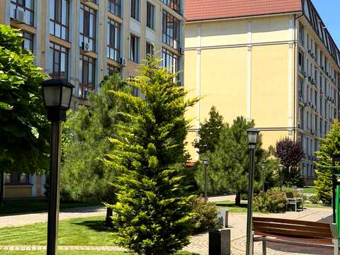 квартира по адресу Дача Ковалевского ул., 121 к1