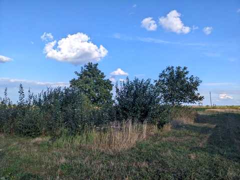 ділянка за адресою с. Радча, Нова