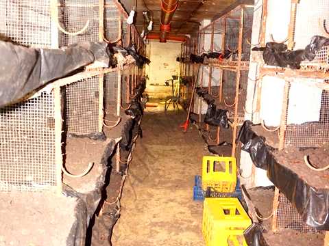 комерційна за адресою Харків, Ювілейна вул., 10