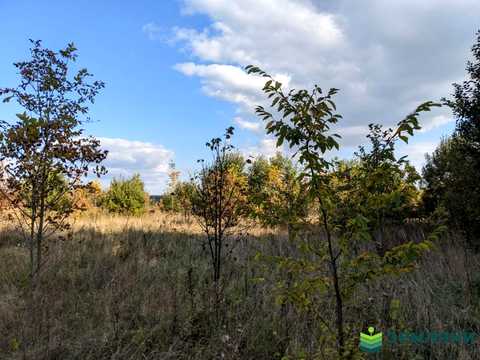 ділянка за адресою с. Майдан, 