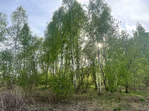 участок по адресу 