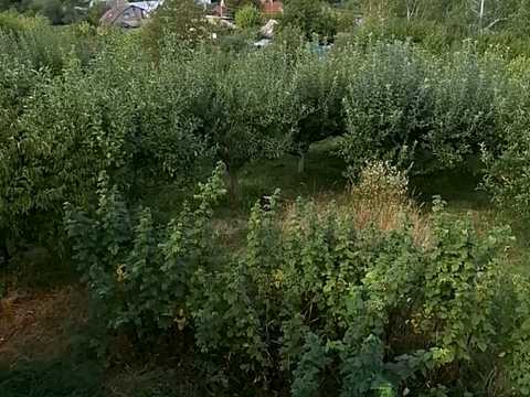 будинок за адресою с. Горбовичі, Івана Франка вул. (Некрасова)