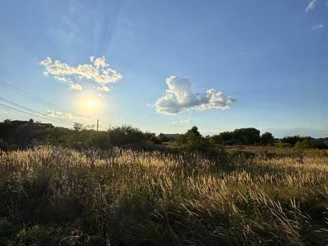 квартира по адресу Малинська ул., 10