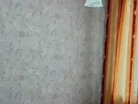 квартира по адресу Ахсарова ул., 15а