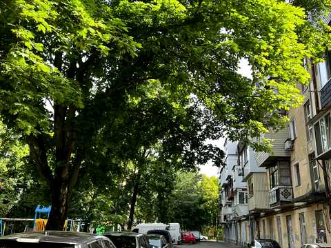 квартира по адресу Люстдорфская дорога ул. (Черноморская дорога), 31