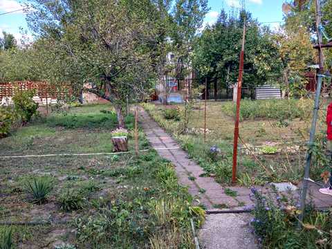 будинок за адресою с. Липове, Центральна