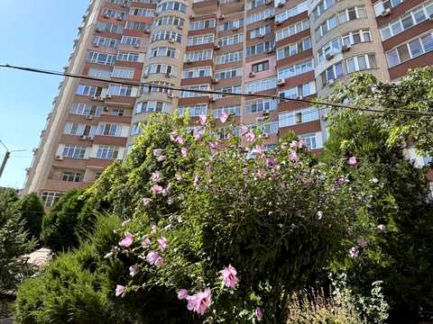 квартира за адресою Левітана вул., 62