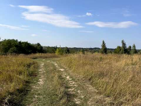 ділянка за адресою Поміркова