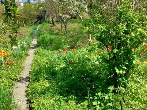 будинок за адресою Броньова вул., 105