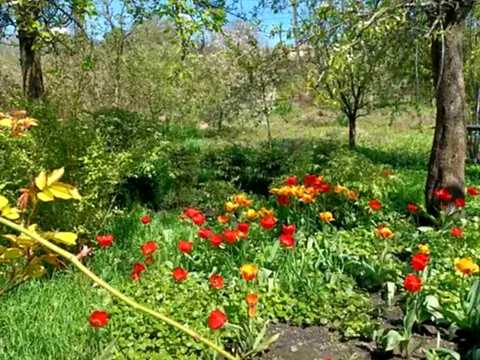 будинок за адресою Броньова вул., 105