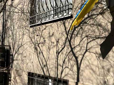 комерційна за адресою Дмитра Вітовського вул. (), 26