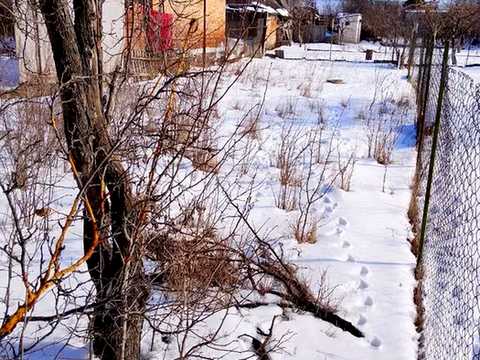 дом по адресу В Акимівська, 3