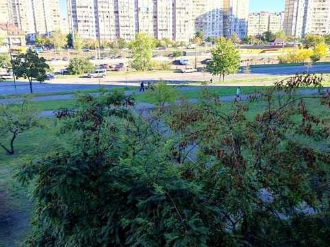 квартира по адресу Оноре де Бальзака ул., 61