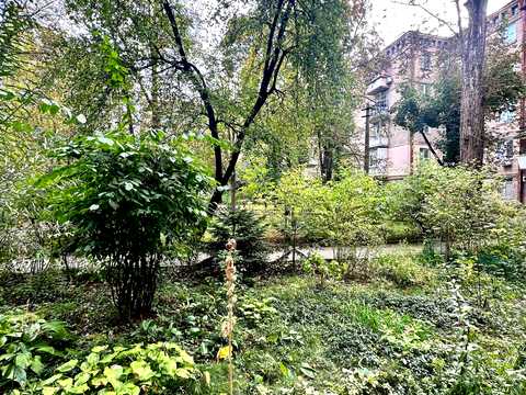 квартира за адресою Адама Міцкевича вул., 6