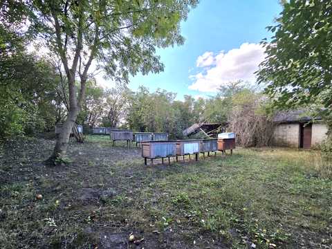 ділянка за адресою Шевченка вул.