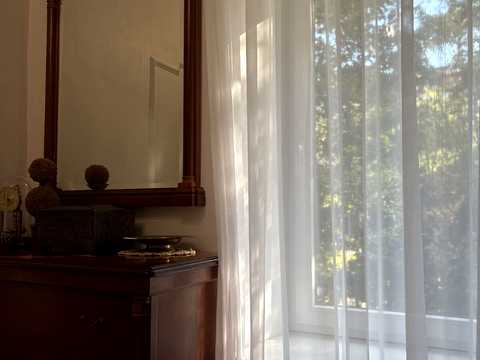 1877853415439006