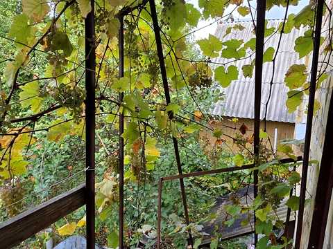 дом по адресу Ватутина ул. (Ватутіна)