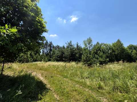 1877856497554956
