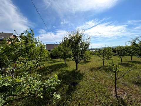 будинок за адресою Тлумач, Молодіжна