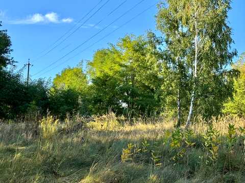 ділянка за адресою с. Зурівка, 