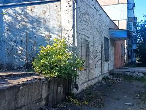 комерційна за адресою Медична вул. (Семашка), 3б