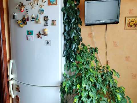 квартира по адресу Сергея Синенко ул. (Кремлевская), 69