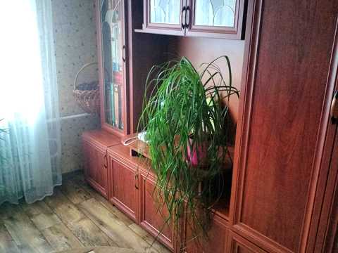 квартира по адресу Сергея Синенко ул. (Кремлевская), 69