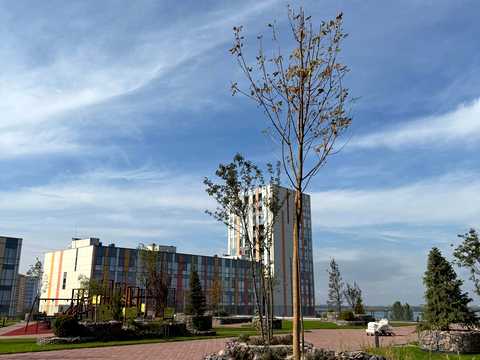 квартира за адресою Січеславська Набережна вул. (Набережна В. І. Леніна), 53а