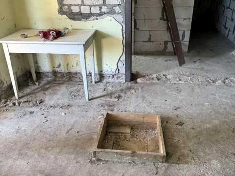 дом по адресу Кам'янська