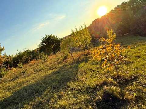ділянка за адресою 8й ринковий провулок