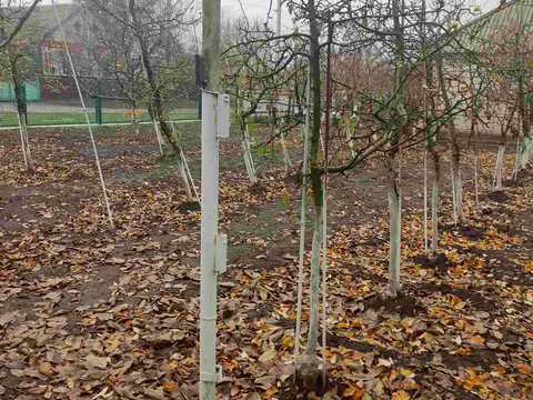 дом по адресу шкільна