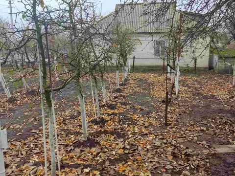 дом по адресу шкільна