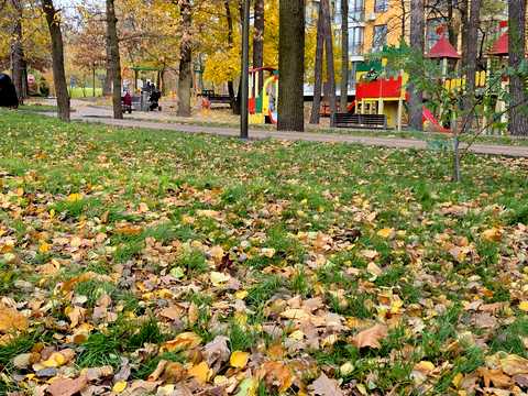 квартира за адресою Анатолія Петрицького вул., 15