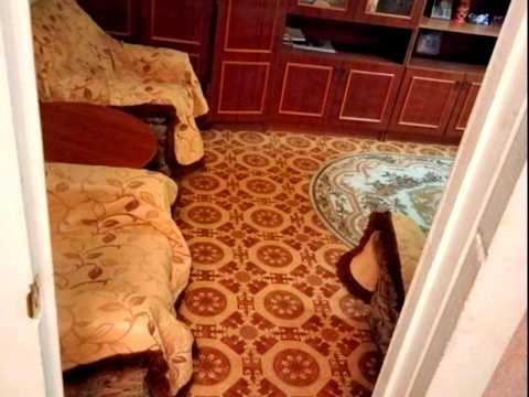 квартира по адресу Вернидуба ул., 5