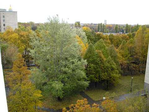 квартира по адресу Михаила Омеляновича-Павленко ул. (Суворова), 5