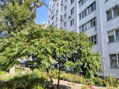 квартира по адресу Юности ул., 8/2